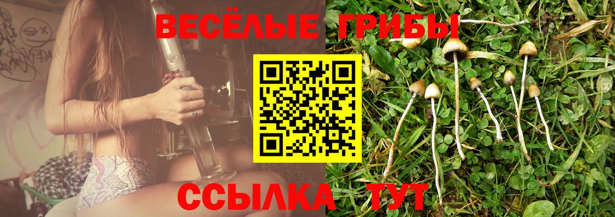 Воркута  Галлюциногенные грибы ЛСД  Вход с VPN 